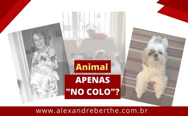 Animal Colo Condominio